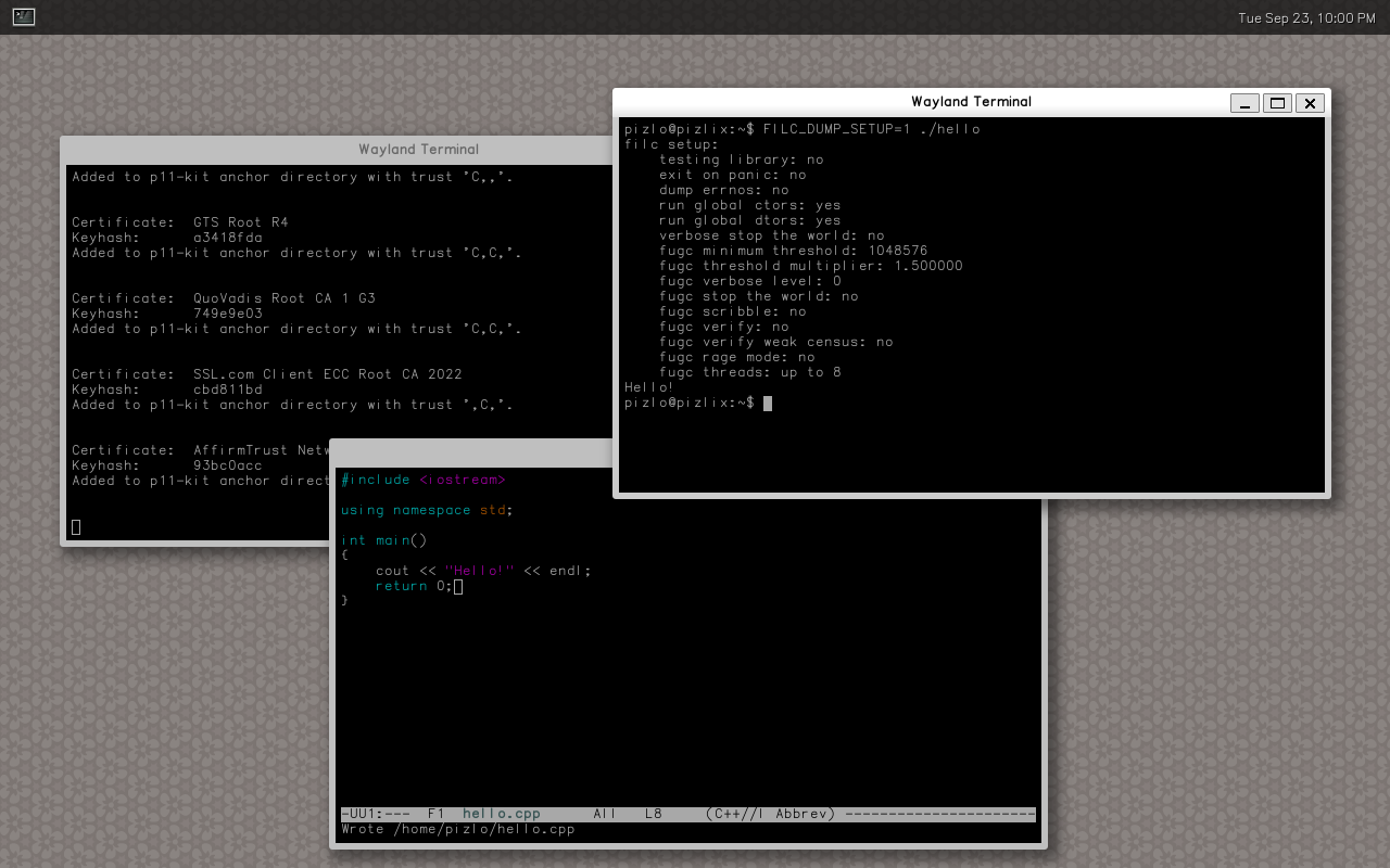 Weston desktop built with Fil-C